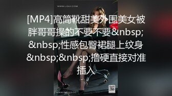 [MP4]高筒靴甜美外围美女被胖哥哥操的不要不要&nbsp;&nbsp;性感包臀裙腿上纹身&nbsp;&nbsp;撸硬直接对准插入