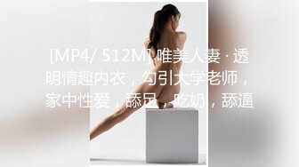 -3.不可以出声音第三部 还是把Z先生吵醒了 我终于可以叫出声了