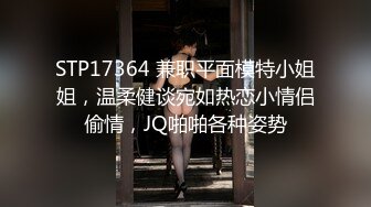 STP17364 兼职平面模特小姐姐，温柔健谈宛如热恋小情侣偷情，JQ啪啪各种姿势