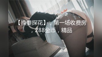 【换妻探花】，第一场收费房，288金币，精品