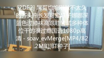 [MP4]STP28354 星空传媒最新出品XKG050 饥渴机场女保安老公阳痿满足不了性欲 - 安检露奶色诱乘客操逼剧情精彩 VIP0600