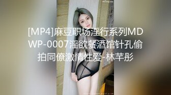 [MP4]麻豆职场淫行系列MDWP-0007淫欲餐酒馆针孔偷拍同僚激情性爱-林芊彤