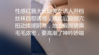 主线任务小母狗蹲起