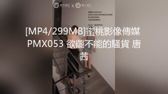 国产麻豆AV MD MD0203 迷奸女租客 苏娅 玥可岚