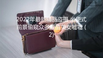 2022年最新精品盗摄 坐便式前景偷窥众多颜值美女嘘嘘 (2)