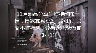 11月新品分享，推特韵味十足，良家露脸少妇【阿莉】居家不雅福利，调教炮机紫薇啪啪 (1)