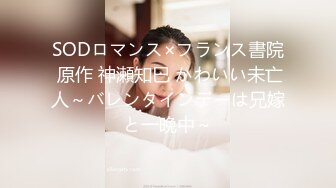 SODロマンス×フランス書院 原作 神瀬知巳 かわいい未亡人～バレンタインデーは兄嫁と一晩中～