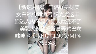 蜜桃影像传媒 PMTC003 大胸医师的乳交性治疗 娃娃