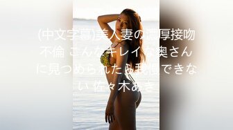 (中文字幕)美人妻の濃厚接吻不倫 こんなキレイな奥さんに見つめられたら我慢できない 佐々木あき