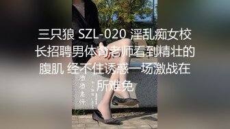 [MP4]良家小少妇 买了个金手镯喜笑颜开 聊聊天调调情 扒掉衣服正入 抱着抽插猛操