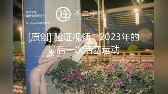 [原创] 验证视频，2023年的最后一次活塞运动