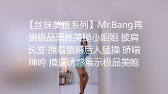 【丝袜美腿系列】Mr.Bang再操极品黑丝美腿小姐姐 披肩长发 拽着胳膊后入猛操 娇喘呻吟 摸逼诱惑展示极品美鲍