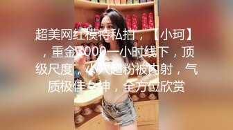 超美网红模特私拍，【小珂】，重金3000一小时线下，顶级尺度，小穴超粉被内射，气质极佳女神，全方位欣赏