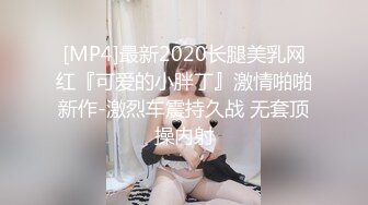 [MP4]最新2020长腿美乳网红『可爱的小胖丁』激情啪啪新作-激烈车震持久战 无套顶操内射