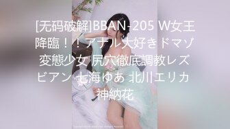 阿朱内部私购 NO.025 女仆与猫