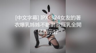 [中文字幕] IPX-324女友的著衣爆乳姊姊不斷對我巨乳全開猛烈示好