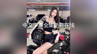 麻豆传媒 ly-019 诱上少年的家教老师