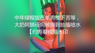 良家小姑娘，豹纹内裤吊带黑丝，拨开内裤就插，后入极品肥臀掐着喉咙爆操