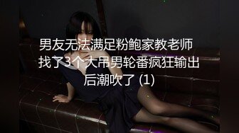 《极品反差_淫妻泄密》推特火爆淫荡翘臀骚母狗【芬姬夏妓】不雅私拍全集，公园露出调教野战潮喷大号道具紫薇淫水泛滥 (2)