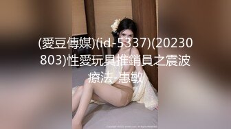 (愛豆傳媒)(id-5337)(20230803)性愛玩具推銷員之震波療法-惠敏