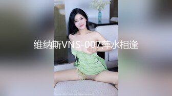 维纳斯VNS-007萍水相逢