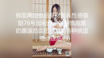 假面舞团极品身材美乳性感御姐76号加密版，各种情趣露奶露逼劲曲扭腰顶胯各种挑逗，撸点很高 (3)