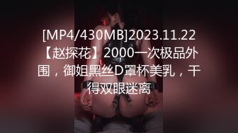 [MP4/430MB]2023.11.22【赵探花】2000一次极品外围，御姐黑丝D罩杯美乳，干得双眼迷离