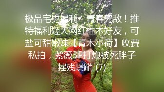 极品宅男福利！青春无敌！推特福利姬大网红柚木好友，可盐可甜嫩妹【青木小荷】收费私拍，紫薇3P打炮被死胖子摧残蹂躏 (7)