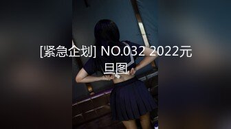 [紧急企划] NO.032 2022元旦图