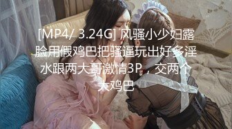 新晋网红美少女笔芯胖丁之魔法少女 漂亮美乳 水晶棒插粉嫩浪穴 淫水高潮 原版私拍22P 高清1080P原版无水印