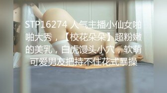 [MP4/ 535M] 漂亮长腿少妇吃鸡啪啪 快点插进来 逼逼受不了了 啊啊 好厉害受不了了 被多姿势操的求饶