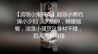 【流氓小鬼探花】赵总小弟约操小少妇，沙发69，蜂腰翘臀，淫荡小骚货这身材不错，后入观感极佳