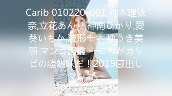 Carib 010220-001 岡本理依奈,立花あんり,神南ひかり,愛葵いちか,波形モネ,ゆうき美羽 マンコ図鑑 〜これがカリビの醍醐味だ！2019蔵出しマンコ〜