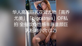 华人高颜巨乳花臂尤物「高乔尤美」「bigcatmia」OF私拍 全身纹身性感丰唇童颜巨乳粉嫩小穴 (12)