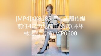 [MP4]XK8185 星空无限传媒 前任4之再见前任 羽芮(坏坏 林沁儿 芳情) VIP0600