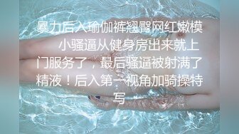 日常无套后入肥臀母狗，最后内射