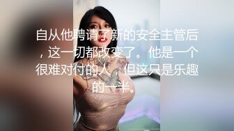 自从他聘请了新的安全主管后，这一切都改变了。他是一个很难对付的人，但这只是乐趣的一半。