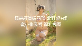 超高颜值极品TS 北野望+闺蜜小张天爱 福利视图