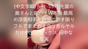 (中文字幕) [vec-537] 先輩の奥さんと即ハメW不倫 最高の浮気相手と時間の許す限りフルでまぐわう会ったらヤルだけ中出しセックス 田中なな実