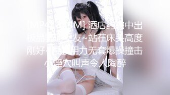 小母狗的发情4