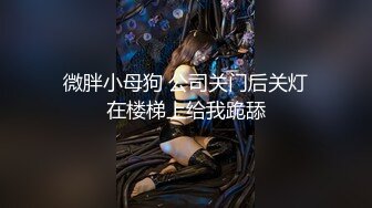 微胖小母狗 公司关门后关灯在楼梯上给我跪舔