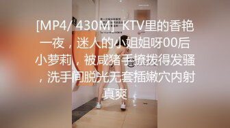 [MP4/ 430M]  KTV里的香艳一夜，迷人的小姐姐呀00后小萝莉，被咸猪手撩拨得发骚，洗手间脱光无套插嫩穴内射真爽