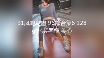 91凤鸣鸟唱 96部合集6 128g补完 国模 美心