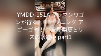 YMDD-151A ヤリマンワゴンが行く！！ ハプニング ア ゴーゴー！！ 麻里梨夏とリズの珍道中 part1