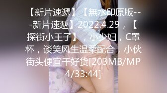 放浪传媒FX-0003傲慢女上司