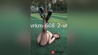 vrkm-608-2-vr