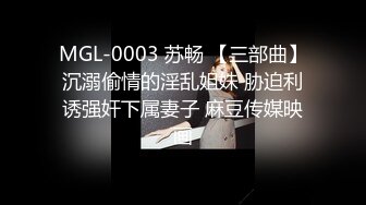 MGL-0003 苏畅 【三部曲】沉溺偷情的淫乱姐妹 胁迫利诱强奸下属妻子 麻豆传媒映画