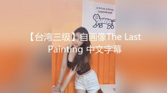 【台湾三级】自画像The Last Painting 中文字幕