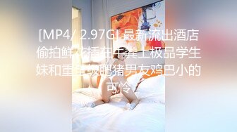 [MP4]良家小夫妻雨后野外车震，漂亮小少妇阴毛超多，无套内射，路人经过，紧张刺激