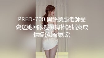 PRED-700 黑絲美腿老師受傷送她回家趁機掏棒誘插爽成情婦(AI破壞版)